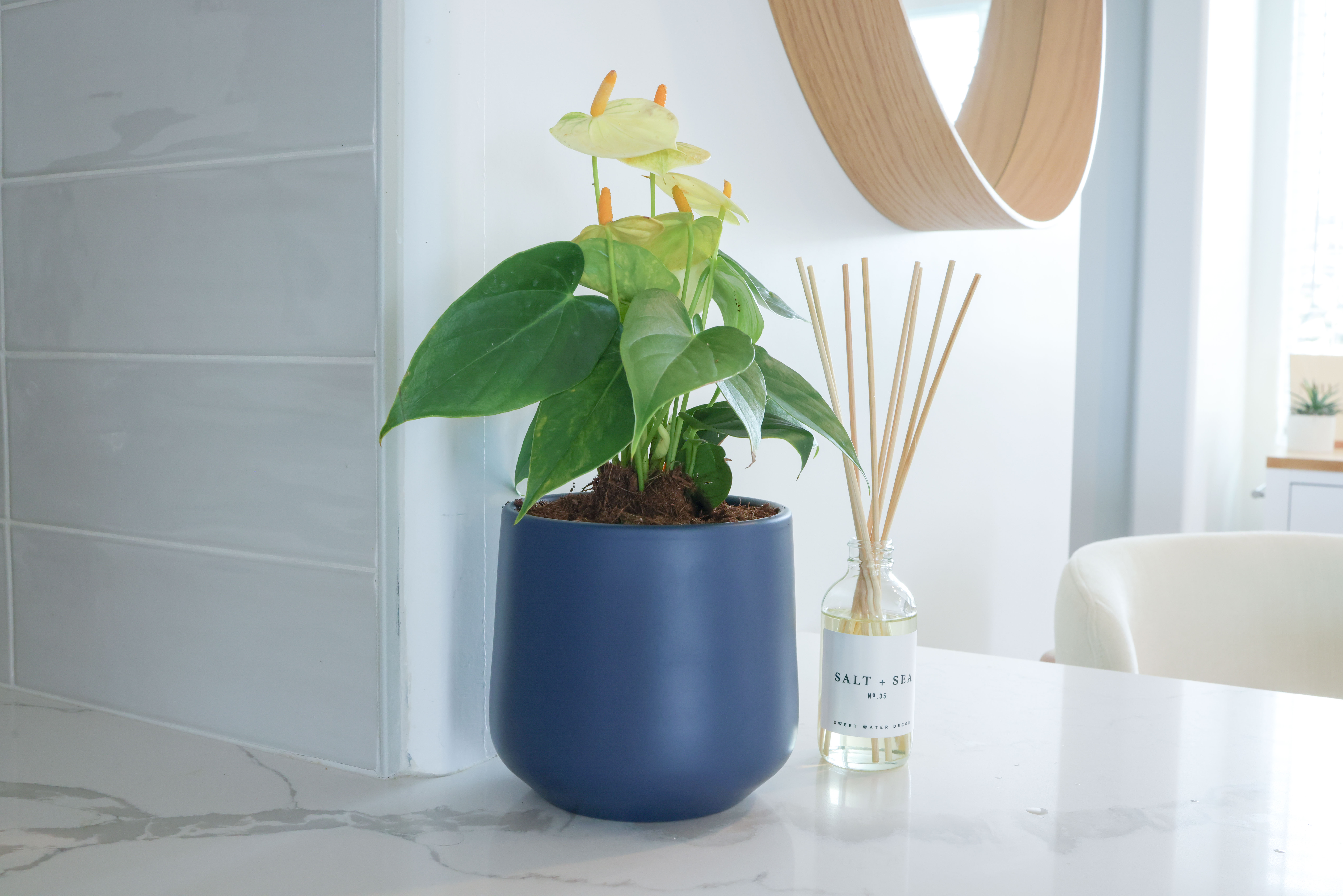 Coastal decor vignette with a blue planter and reed diffuser